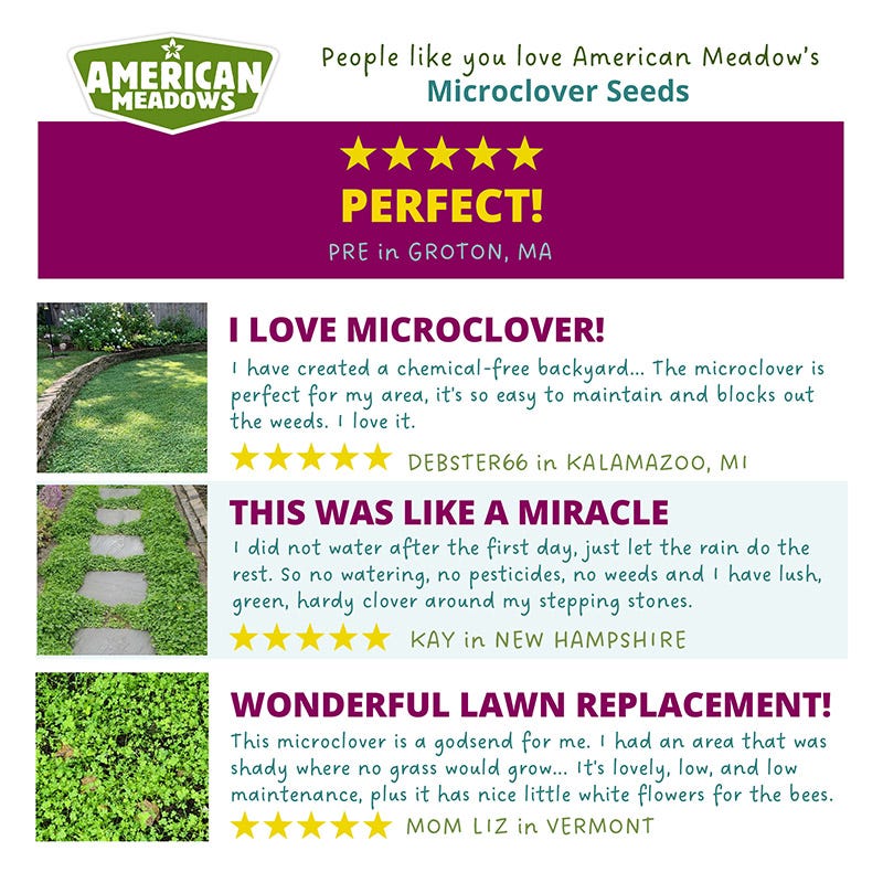 Microclover® Seed - The Original Low-Maintenance Lawn